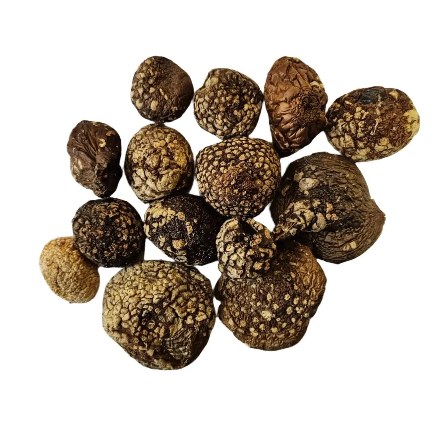 Getrocknete Amanita Regalis Kappen aus Skandinaviens Wäldern. Perfekt zum Räuchern oder als natürliche Dekoration, 100% reine Qualität.