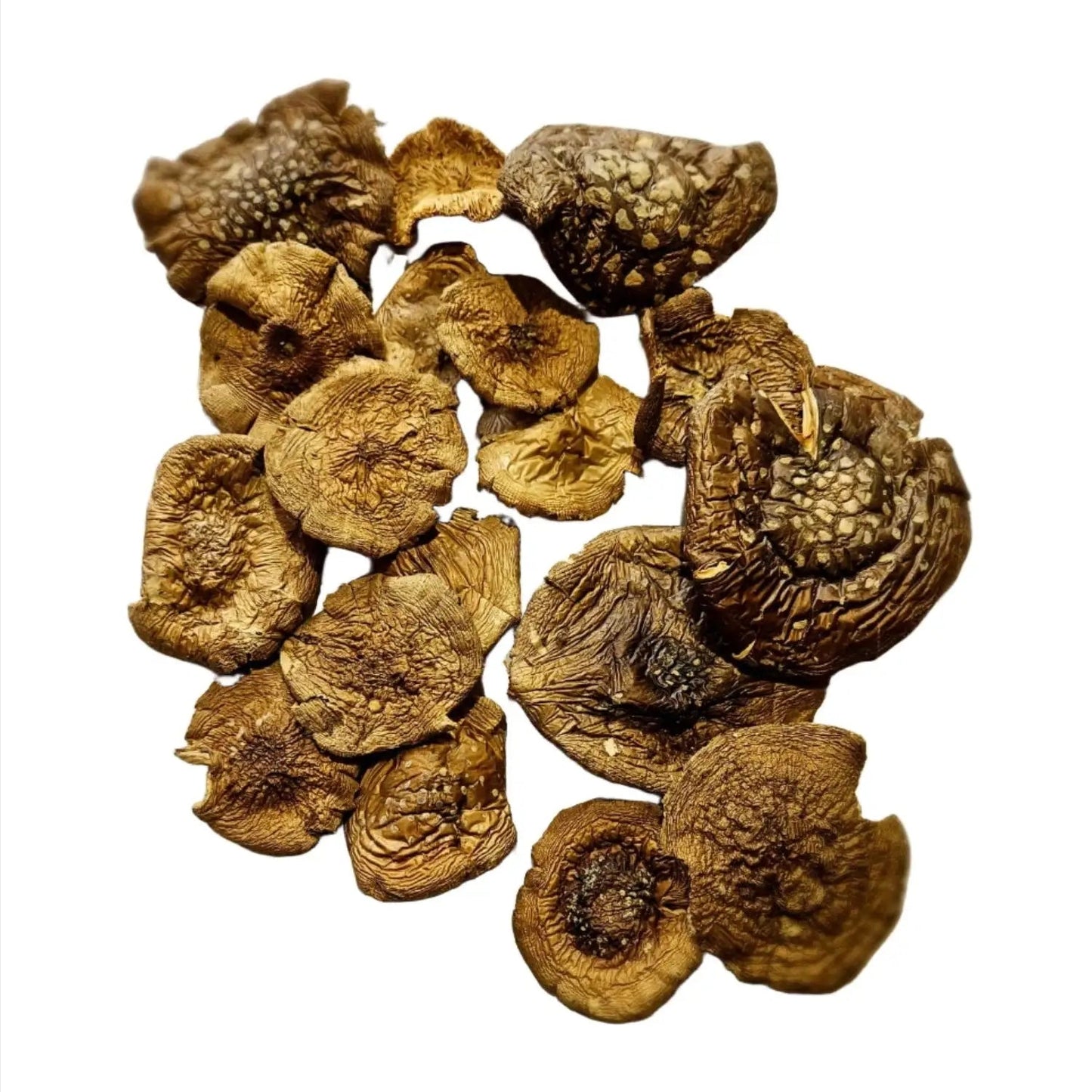 Getrocknete Amanita Pantherina Kappen aus Lettland, handverlesen und vakuumgetrocknet für höchste Qualität. Perfekt für Kenner und Sammler.