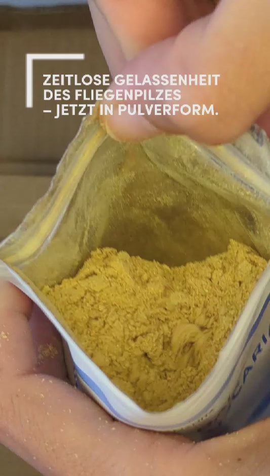 Fliegenpilz Pulver