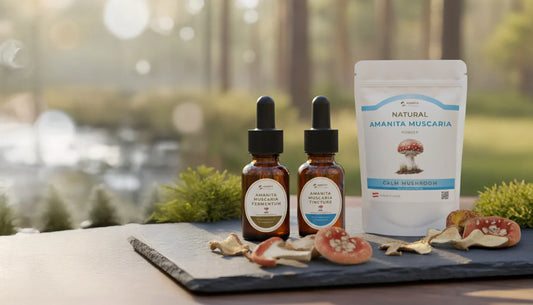 Fliegenpilze kaufen – umfassender Ratgeber zu Amanita muscaria