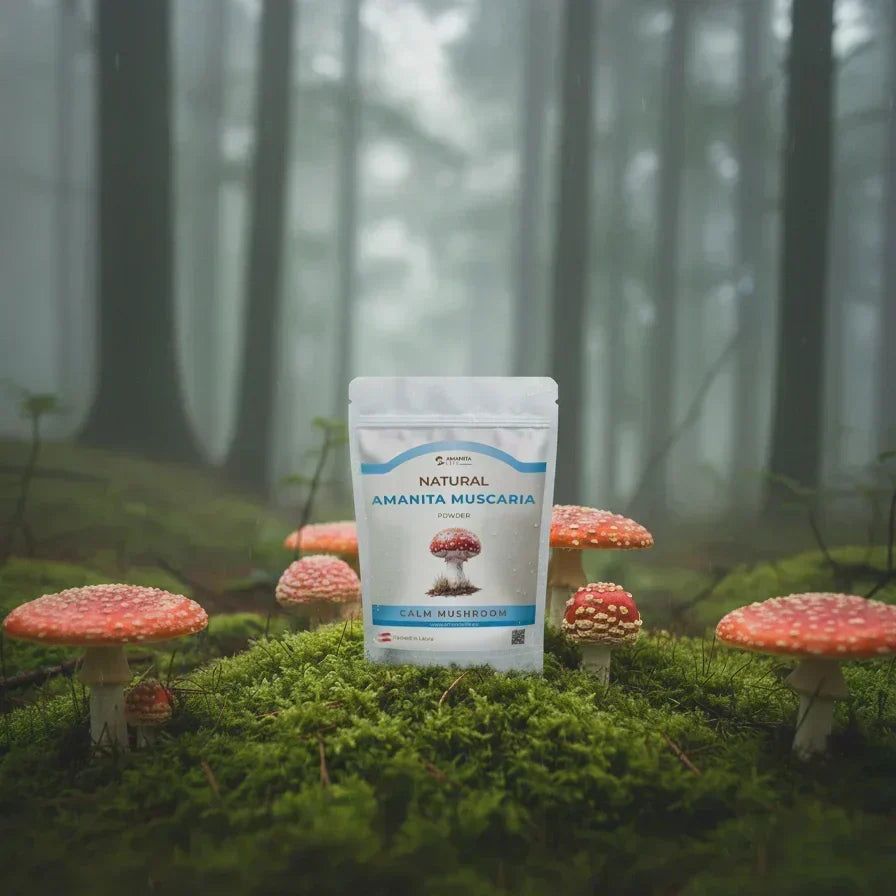 Fliegenpilz (Amanita Muscaria) Pulver