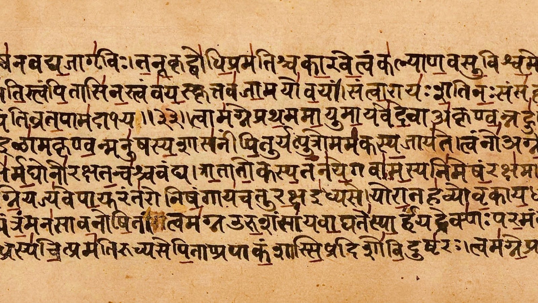 Soma und der Fliegenpilz: Die Wasson-These zum Rigveda