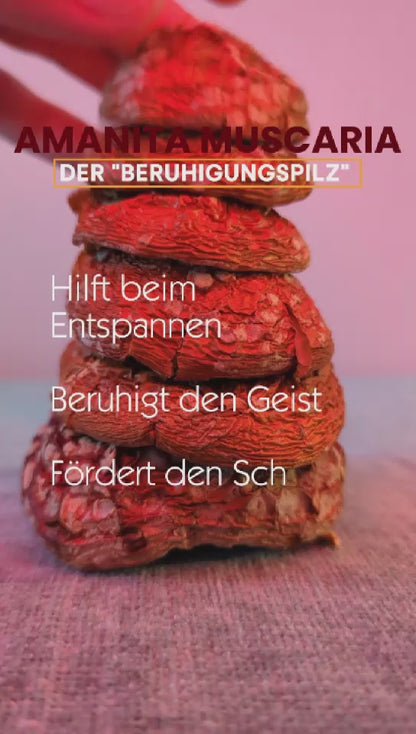 Fliegenpilz Kappen