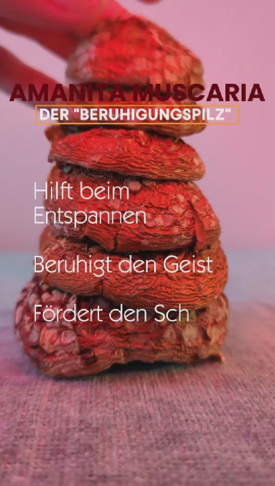 Fliegenpilz Kappen
